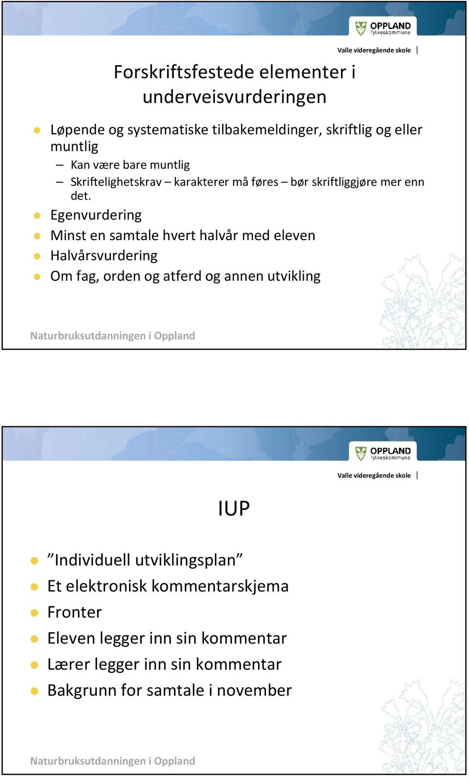 Egenvurdering Minst en samtale hvert halvår med eleven Halvårsvurdering Om fag, orden og atferd og annen utvikling IUP