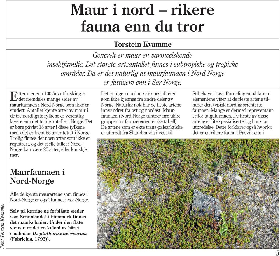 Antallet kjente arter av maur i de tre nordligste fylkene er vesentlig lavere enn det totale antallet i Norge. Det er bare påvist 18 arter i disse fylkene, mens det er kjent 55 arter totalt i Norge.