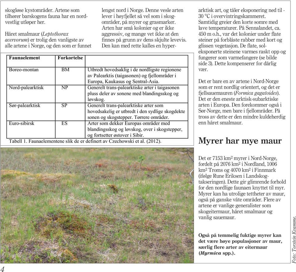 Palearktis (taigasonen) og fjellområder i Europa, Kaukasus og Sentral-Asia. Nord-palearktisk NP Generelt trans-palearktiske arter i taigasonen pluss deler av sonene med blandingsskog og løvskog.