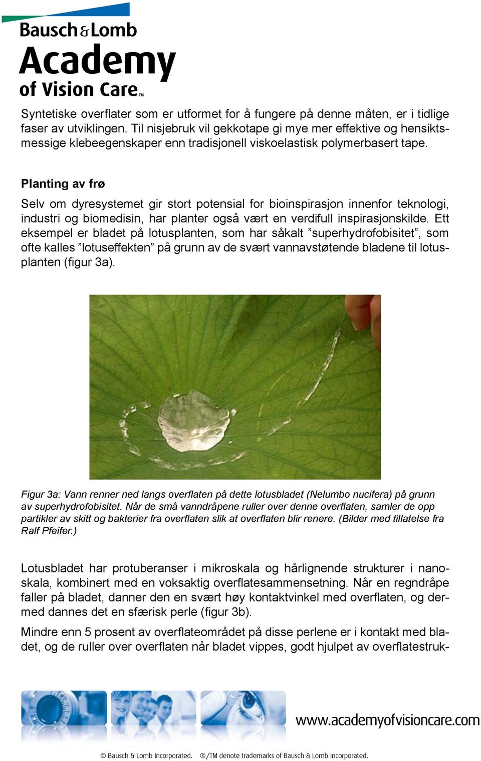 Planting av frø Selv om dyresystemet gir stort potensial for bioinspirasjon innenfor teknologi, industri og biomedisin, har planter også vært en verdifull inspirasjonskilde.