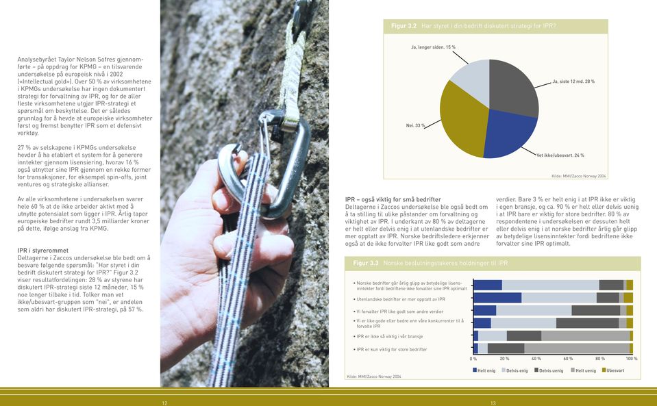Over 50 % av virksomhetene i KPMGs undersøkelse har ingen dokumentert strategi for forvaltning av IPR, og for de aller fleste virksomhetene utgjør IPR-strategi et spørsmål om beskyttelse.