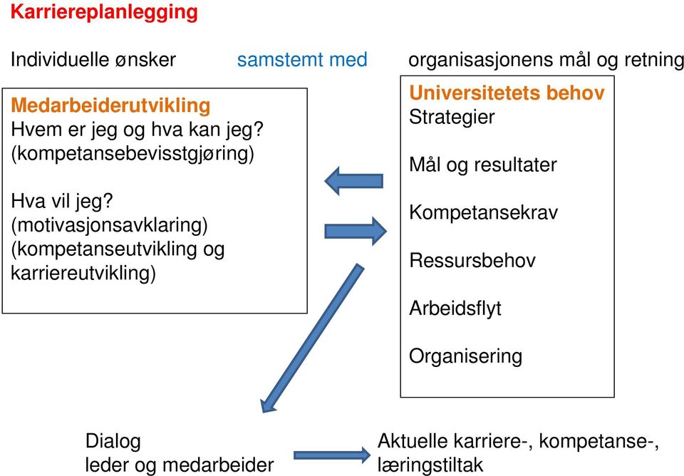 (motivasjonsavklaring) (kompetanseutvikling og karriereutvikling) organisasjonens mål og retning