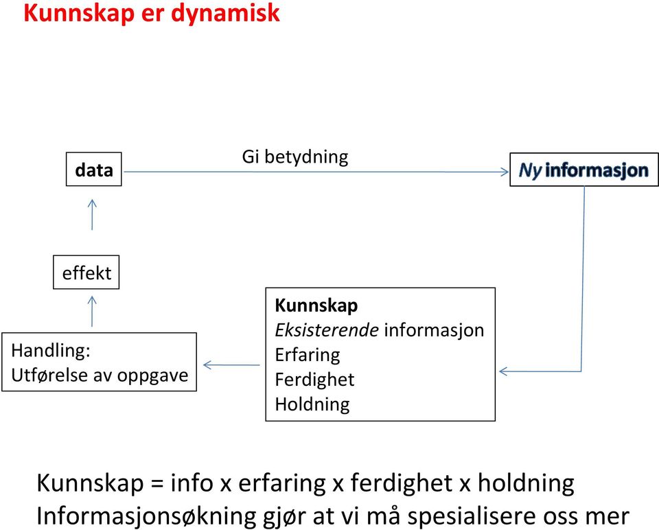 Erfaring Ferdighet Holdning Kunnskap = info x erfaring x