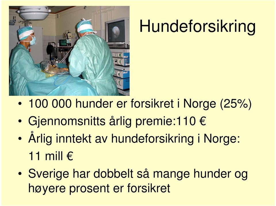 av hundeforsikring i Norge: 11 mill Sverige har