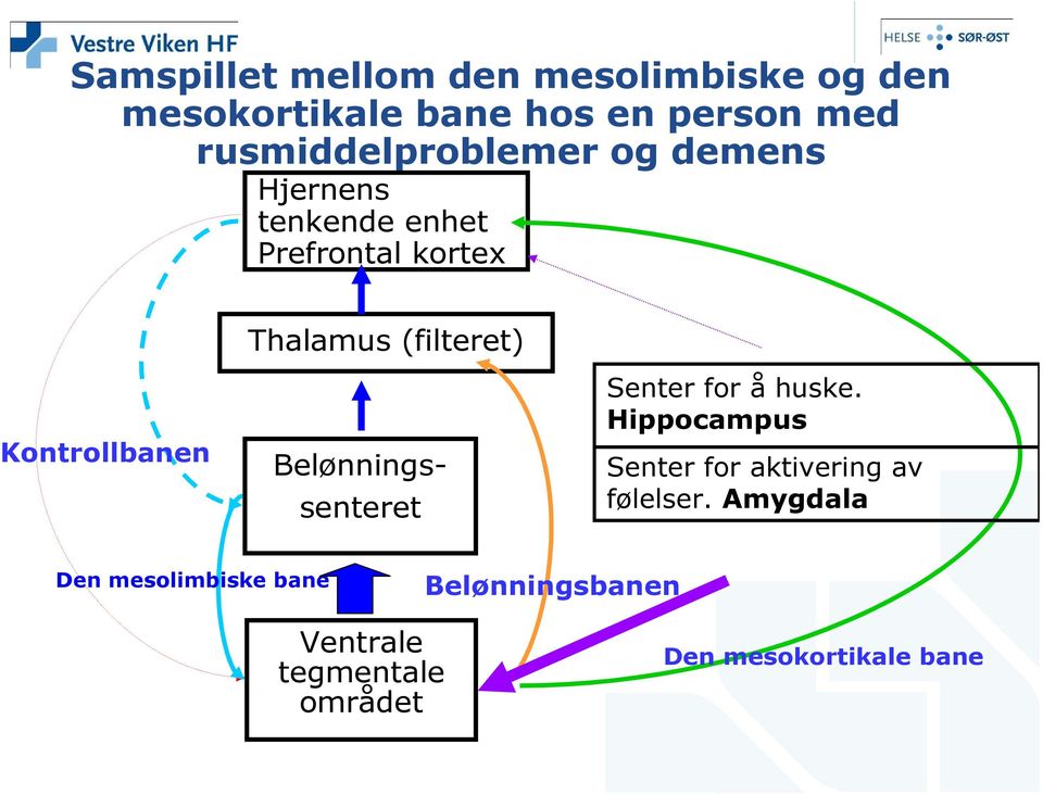 Kontrollbanen Belønningssenteret Senter for å huske.