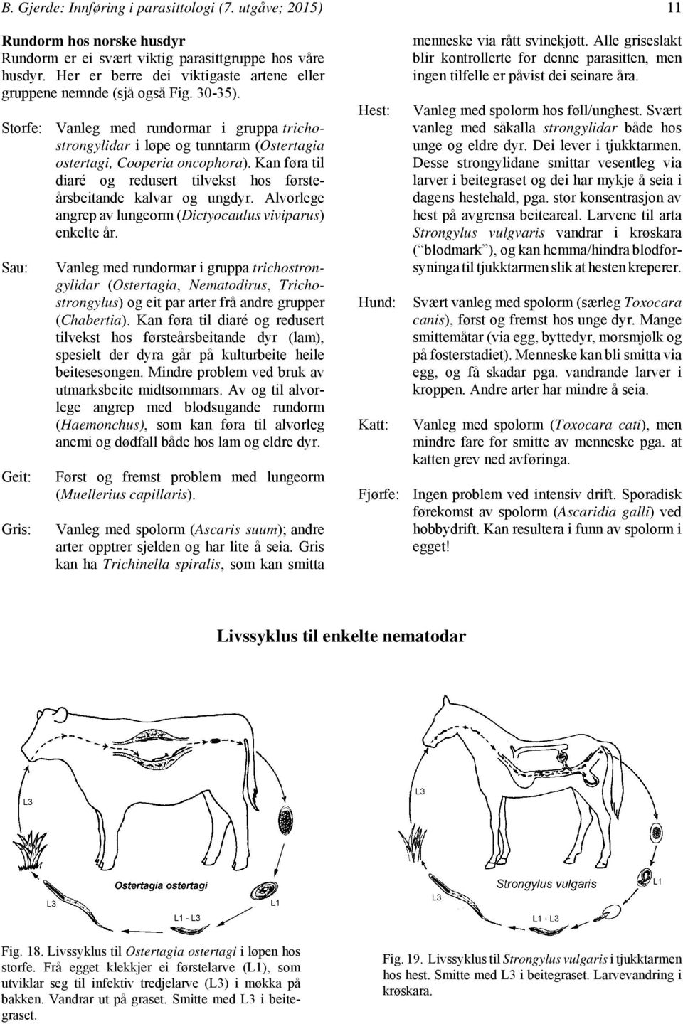 Kan føra til diaré og redusert tilvekst hos førsteårsbeitande kalvar og ungdyr. Alvorlege angrep av lungeorm (Dictyocaulus viviparus) enkelte år.