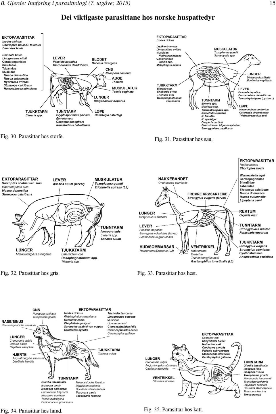 30. Parasittar hos storfe. Fig. 31. Parasittar hos sau. Fig. 32.