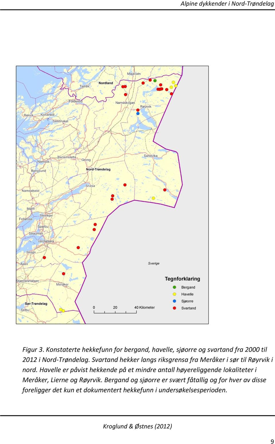 Svartand hekker langs riksgrensa fra Meråker i sør til Røyrvik i nord.