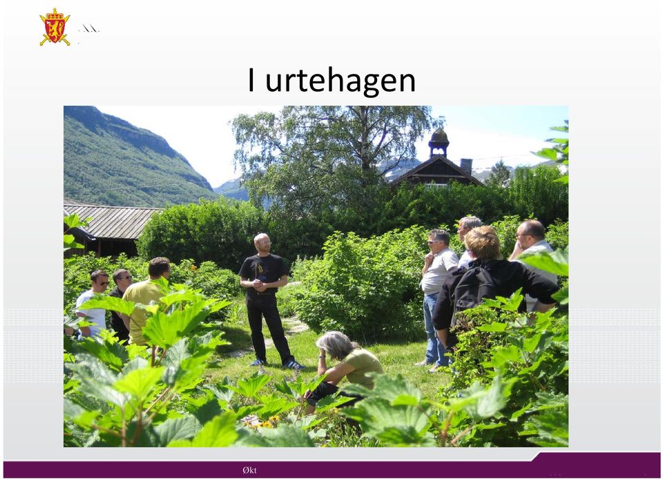 urtehagen