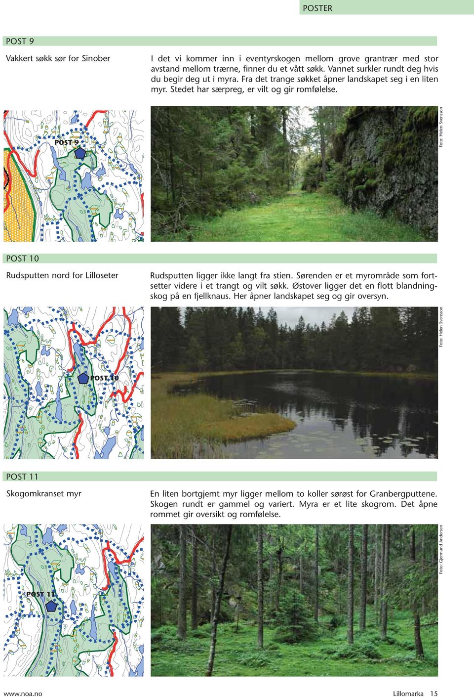 Sørenden er et myrområde som fortsetter videre i et trangt og vilt søkk. Østover ligger det en flott blandningskog på en fjellknaus. Her åpner landskapet seg og gir oversyn.