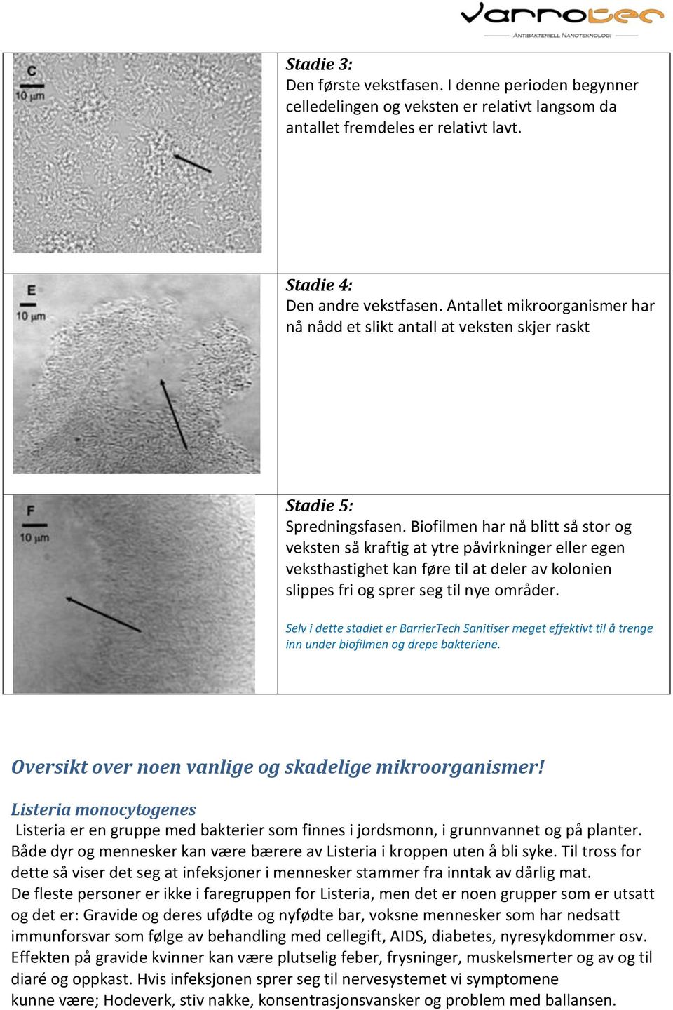 Biofilmen har nå blitt så stor og veksten så kraftig at ytre påvirkninger eller egen veksthastighet kan føre til at deler av kolonien slippes fri og sprer seg til nye områder.