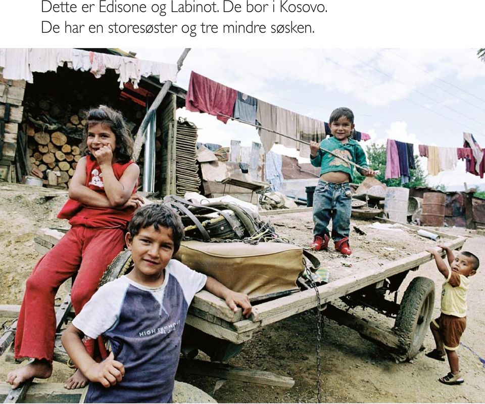 De bor i Kosovo.