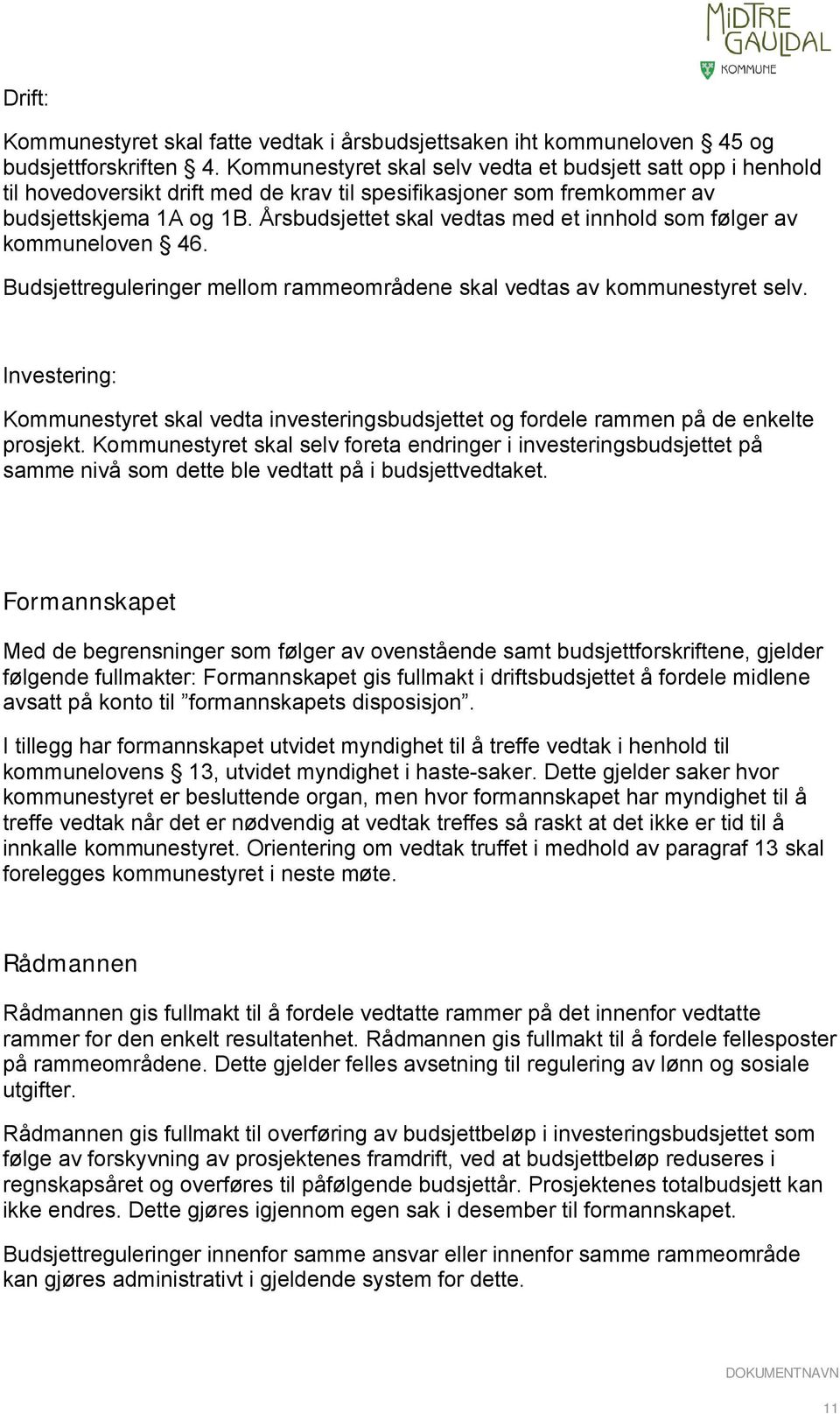 Årsbudsjettet skal vedtas med et innhold som følger av kommuneloven 46. Budsjettreguleringer mellom rammeområdene skal vedtas av kommunestyret selv.