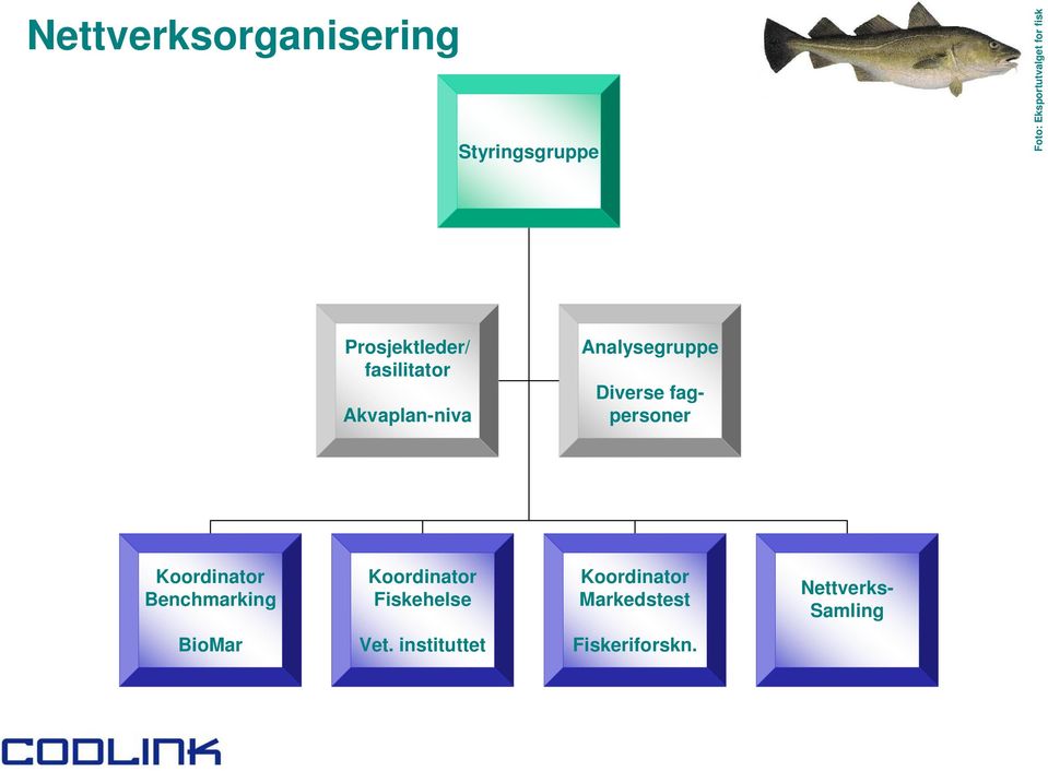 Koordinator Benchmarking Koordinator Fiskehelse Koordinator