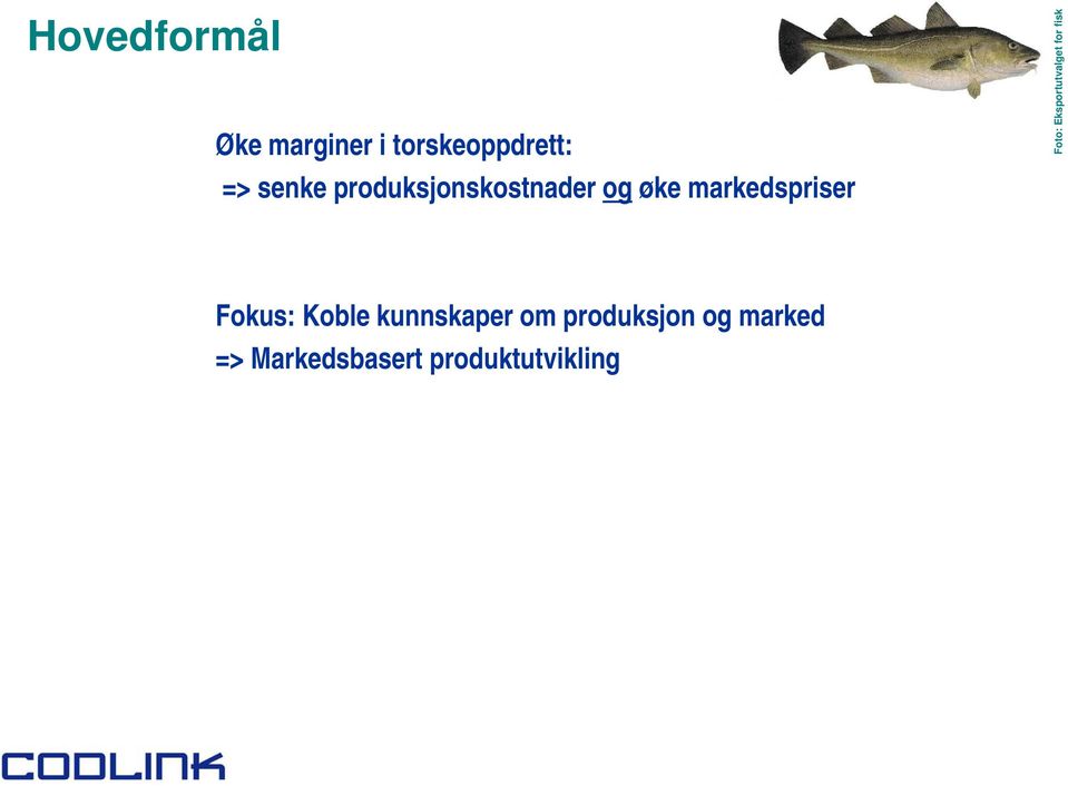 markedspriser Fokus: Koble kunnskaper om