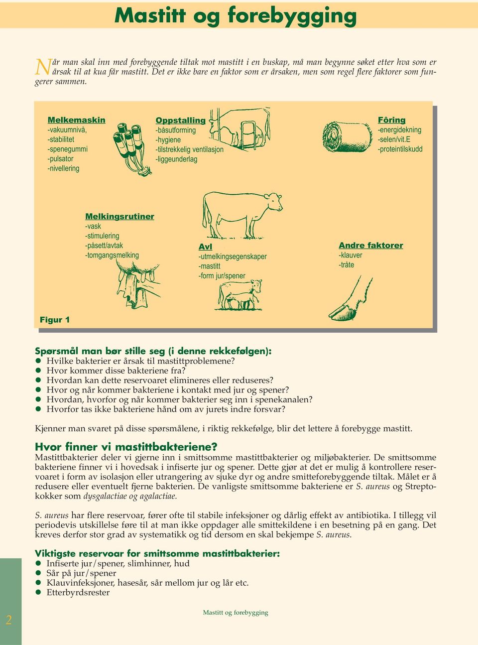 Melkemaskin -vakuumnivå, -stabilitet -spenegummi -pulsator -nivellering Oppstalling -båsutforming -hygiene -tilstrekkelig ventilasjon -liggeunderlag Fôring -energidekning -selen/vit.