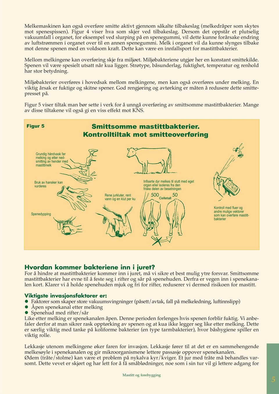 Melk i organet vil da kunne slynges tilbake mot denne spenen med en voldsom kraft. Dette kan være en innfallsport for mastittbakterier. Mellom melkingene kan overføring skje fra miljøet.