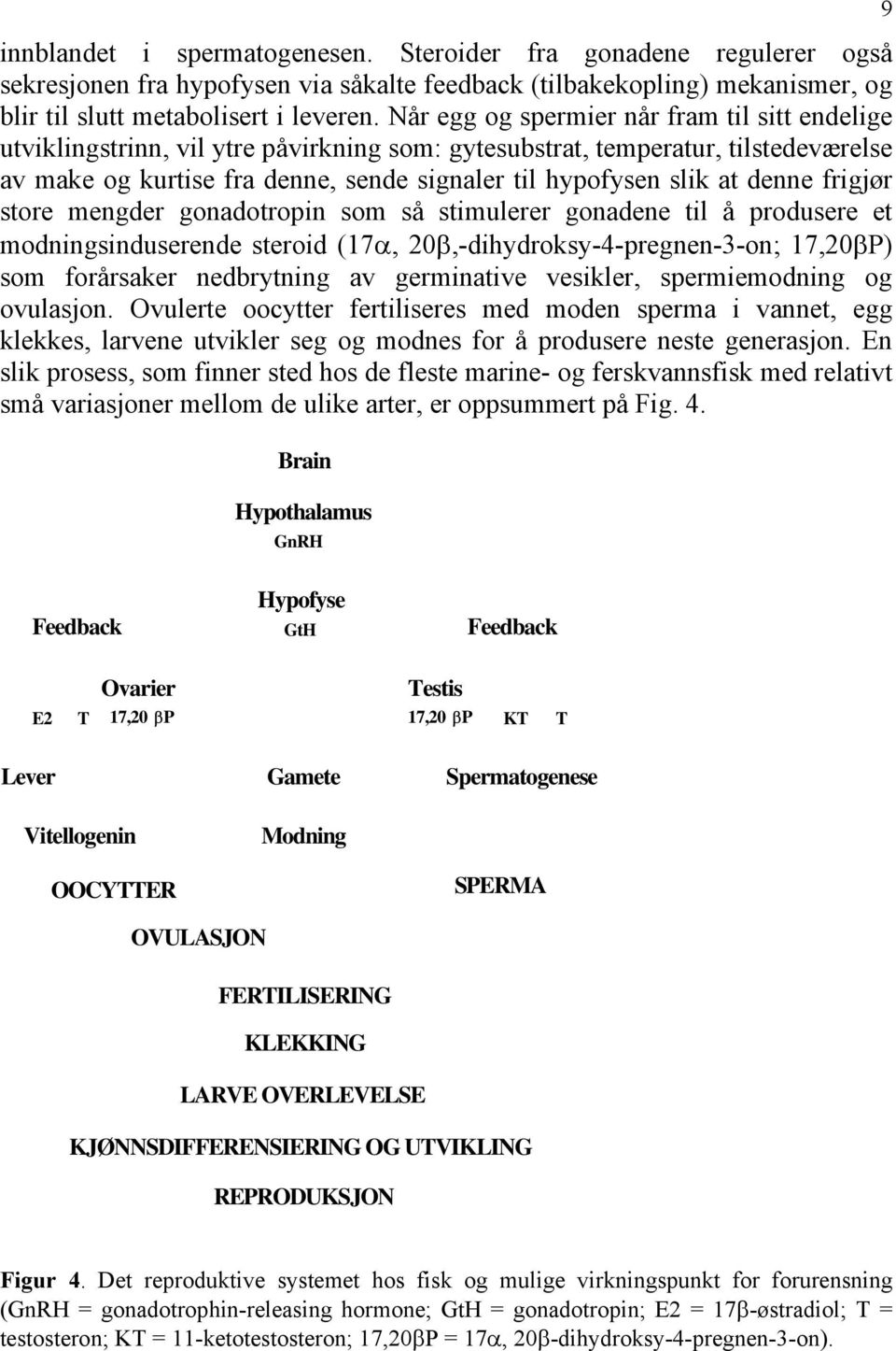 denne frigjør store mengder gonadotropin som så stimulerer gonadene til å produsere et modningsinduserende steroid (17α, 20β,-dihydroksy-4-pregnen-3-on; 17,20βP) som forårsaker nedbrytning av