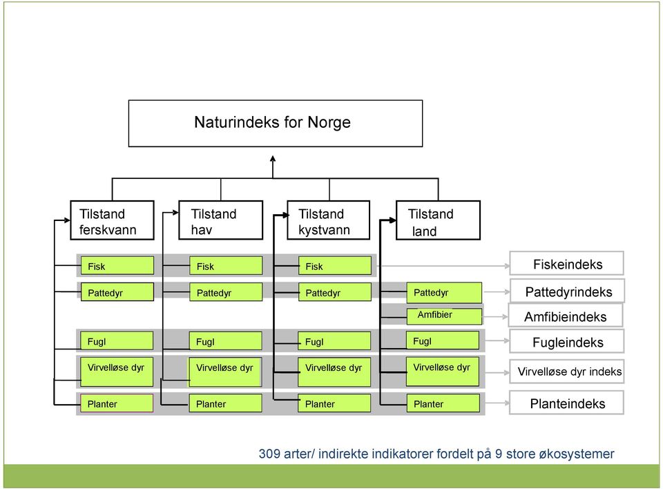 Fugl Fugleindeks Virvelløse dyr Virvelløse dyr Virvelløse dyr Virvelløse dyr Virvelløse dyr indeks