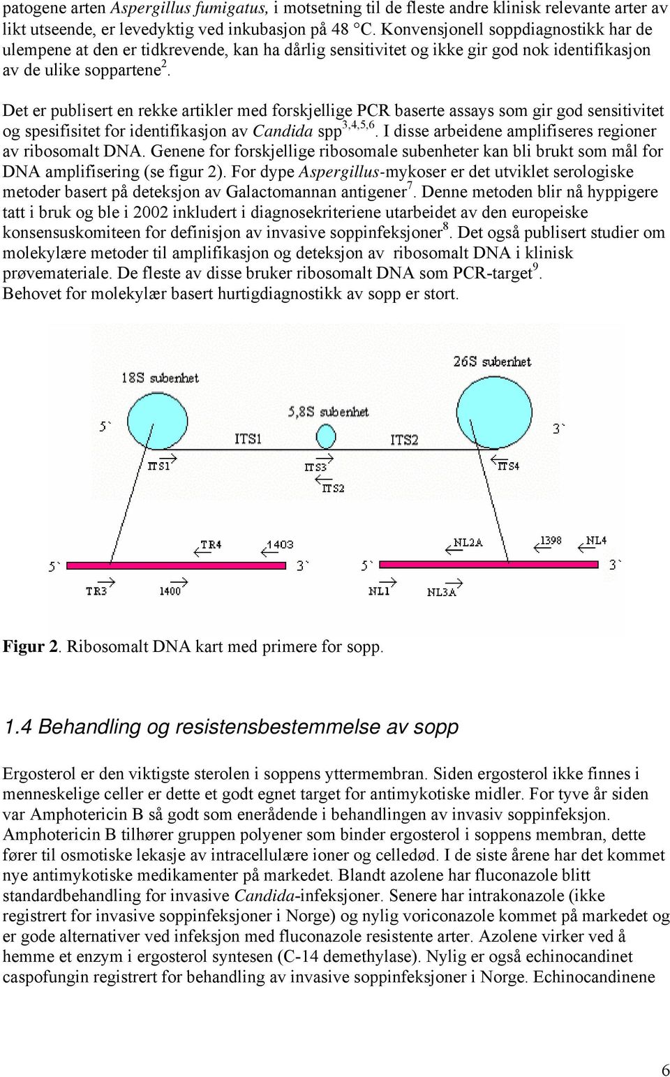 Det er publisert en rekke artikler med forskjellige PCR baserte assays som gir god sensitivitet og spesifisitet for identifikasjon av Candida spp 3, 4, 5, 6.