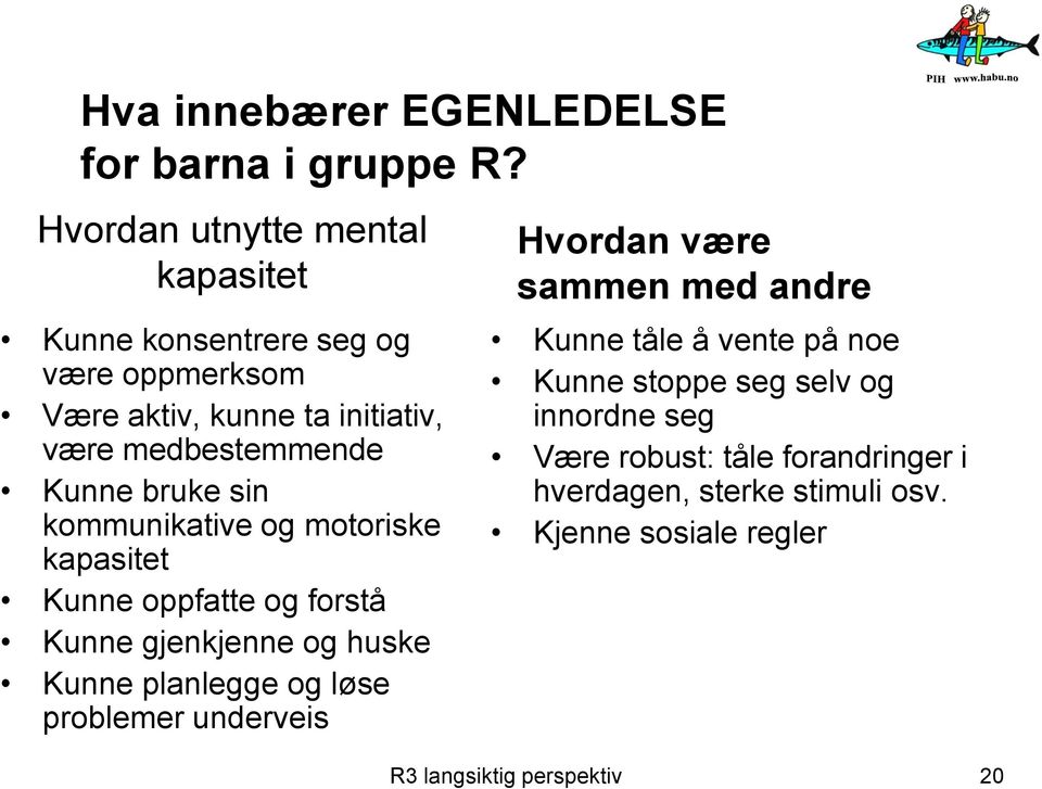 bruke sin kommunikative og motoriske kapasitet Kunne oppfatte og forstå Kunne gjenkjenne og huske Kunne planlegge og løse problemer