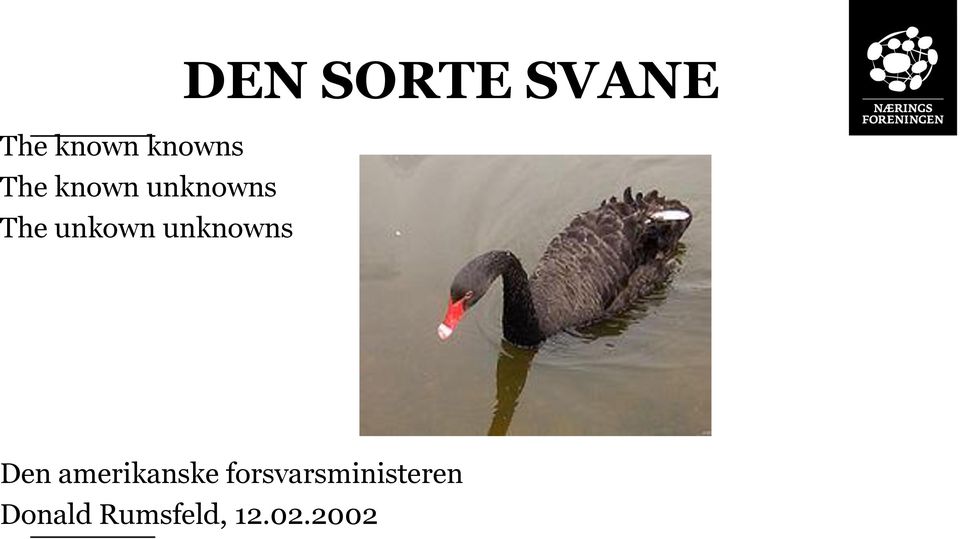 SORTE SVANE Den amerikanske