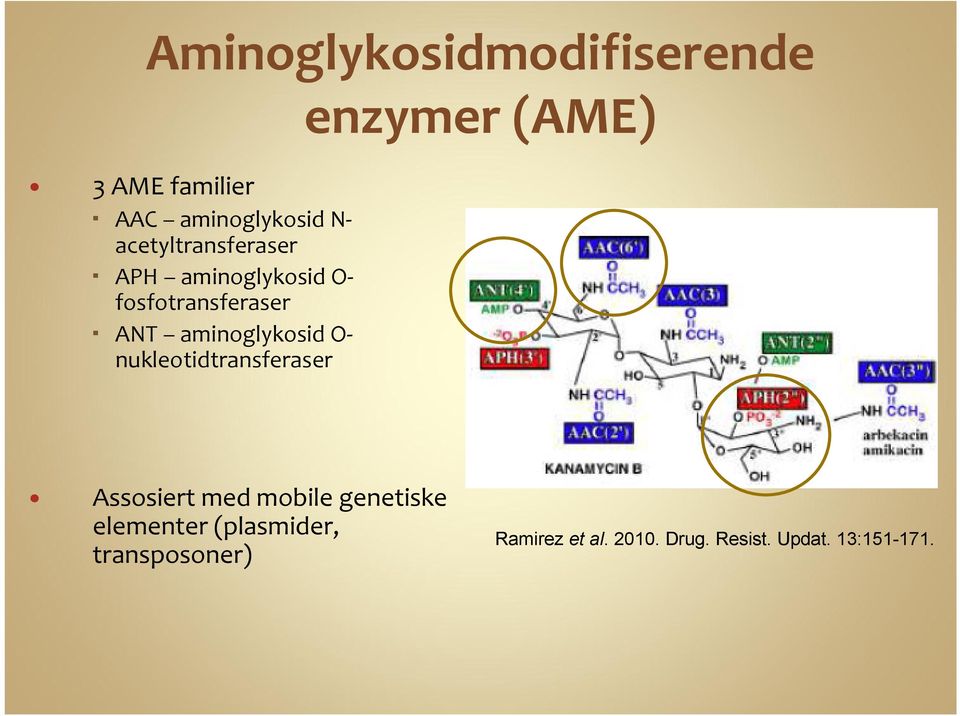 aminoglykosid O- nukleotidtransferaser Assosiert med mobile genetiske