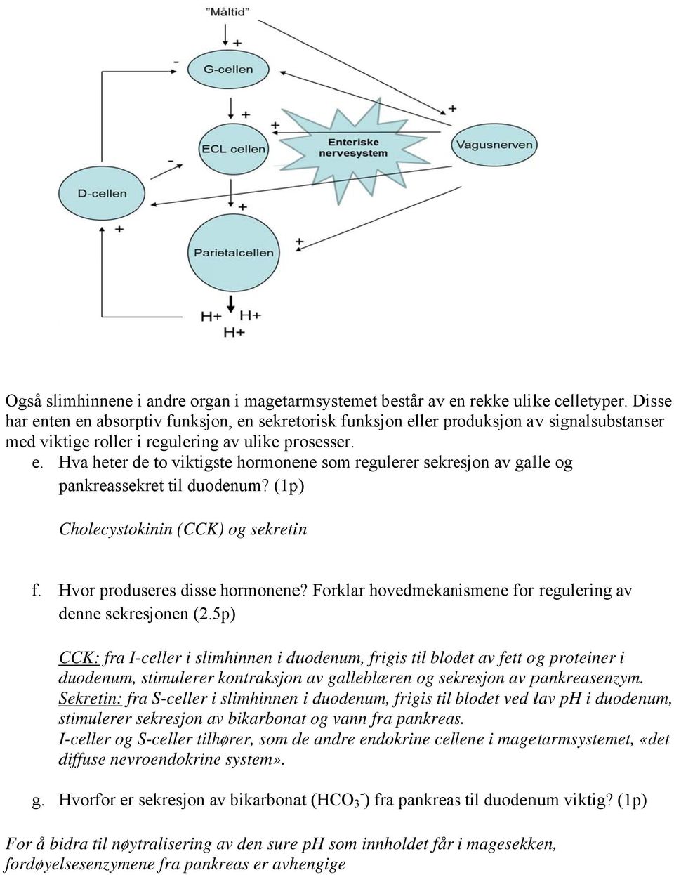 (1p) Cholecystokinin (CCK) og sekretin f. Hvor produseres disse hormonene? Forklar hovedmekan nismene for regulering av denne sekresjonen (2.