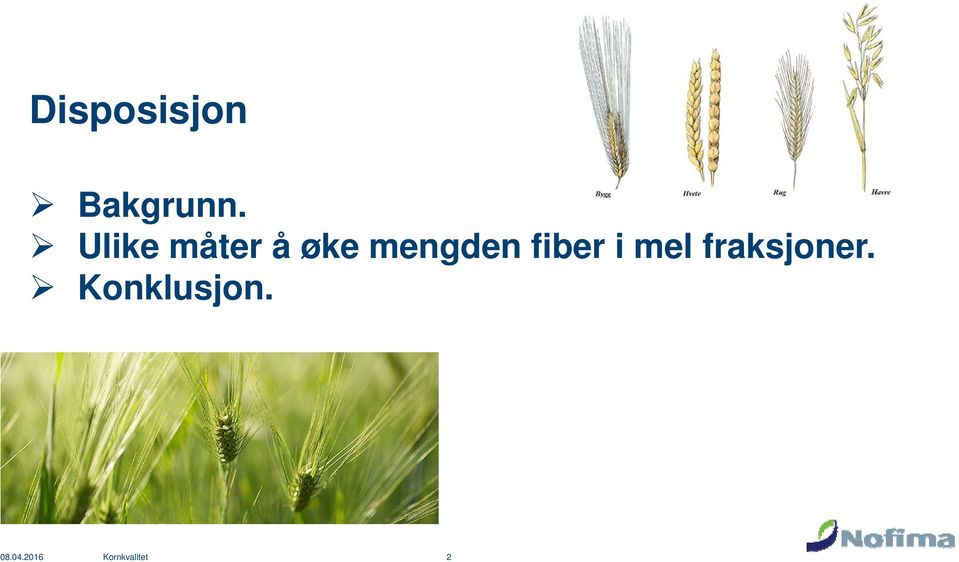 fiber i mel fraksjoner.