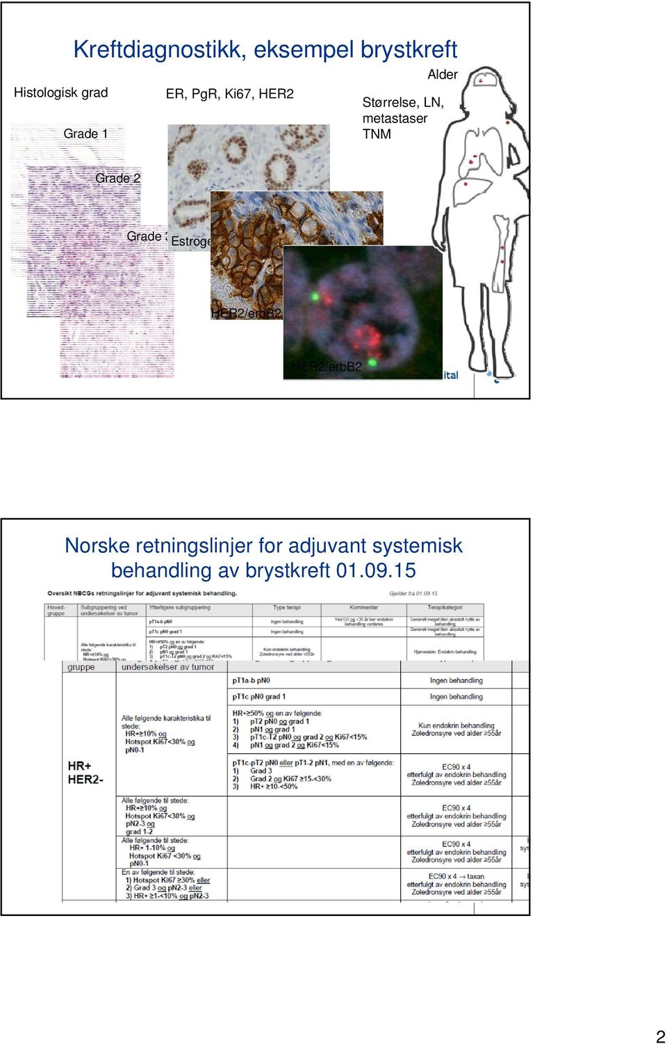 Grade 3 Estrogen receptor, ER HER2/erbB2 HER2/erbB2 Norske