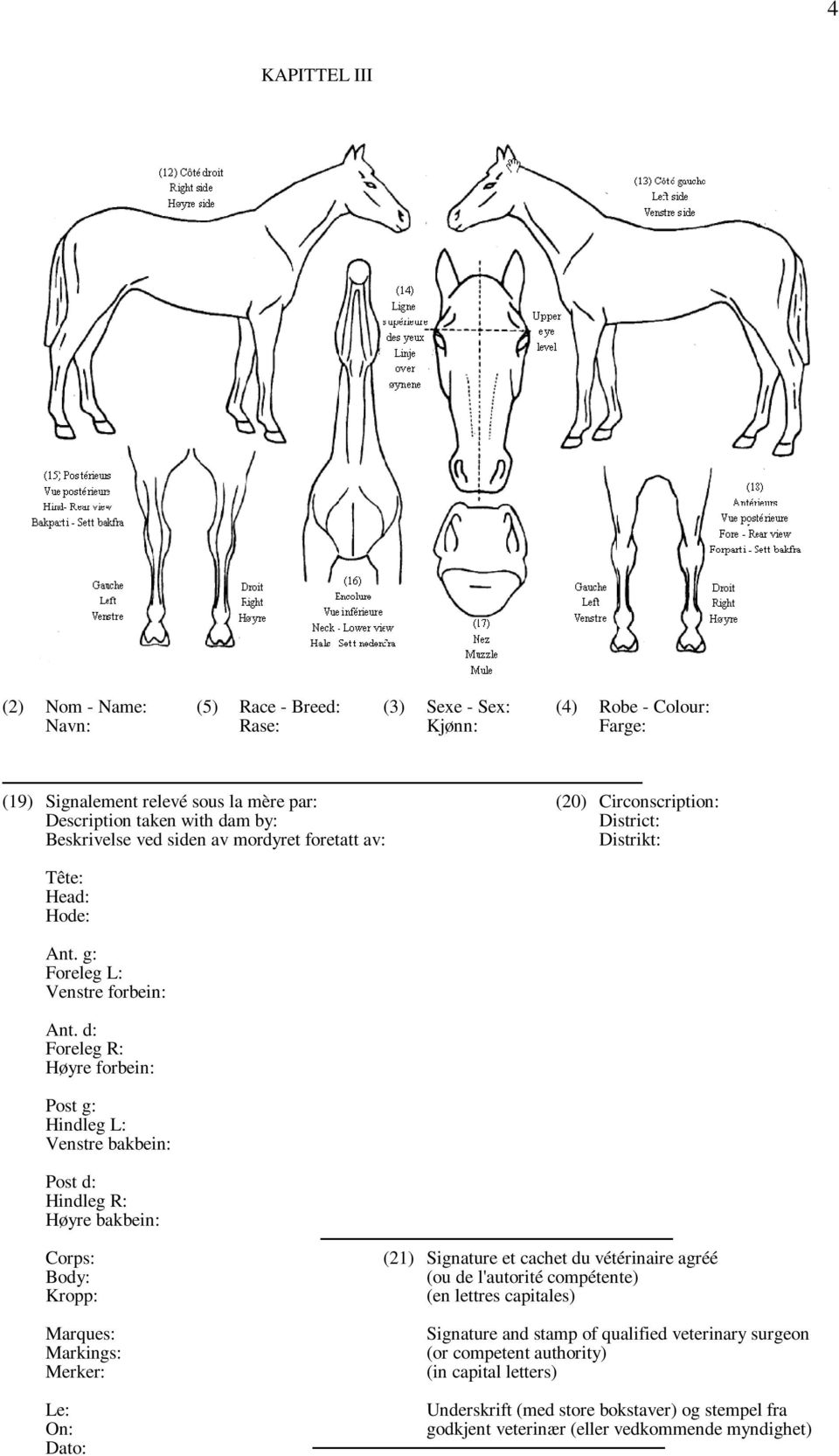 d: Foreleg R: Høyre forbein: Post g: Hindleg L: Venstre bakbein: Post d: Hindleg R: Høyre bakbein: Corps: Body: Kropp: Marques: Markings: Merker: Le: On: Dato: (21) Signature et cachet du