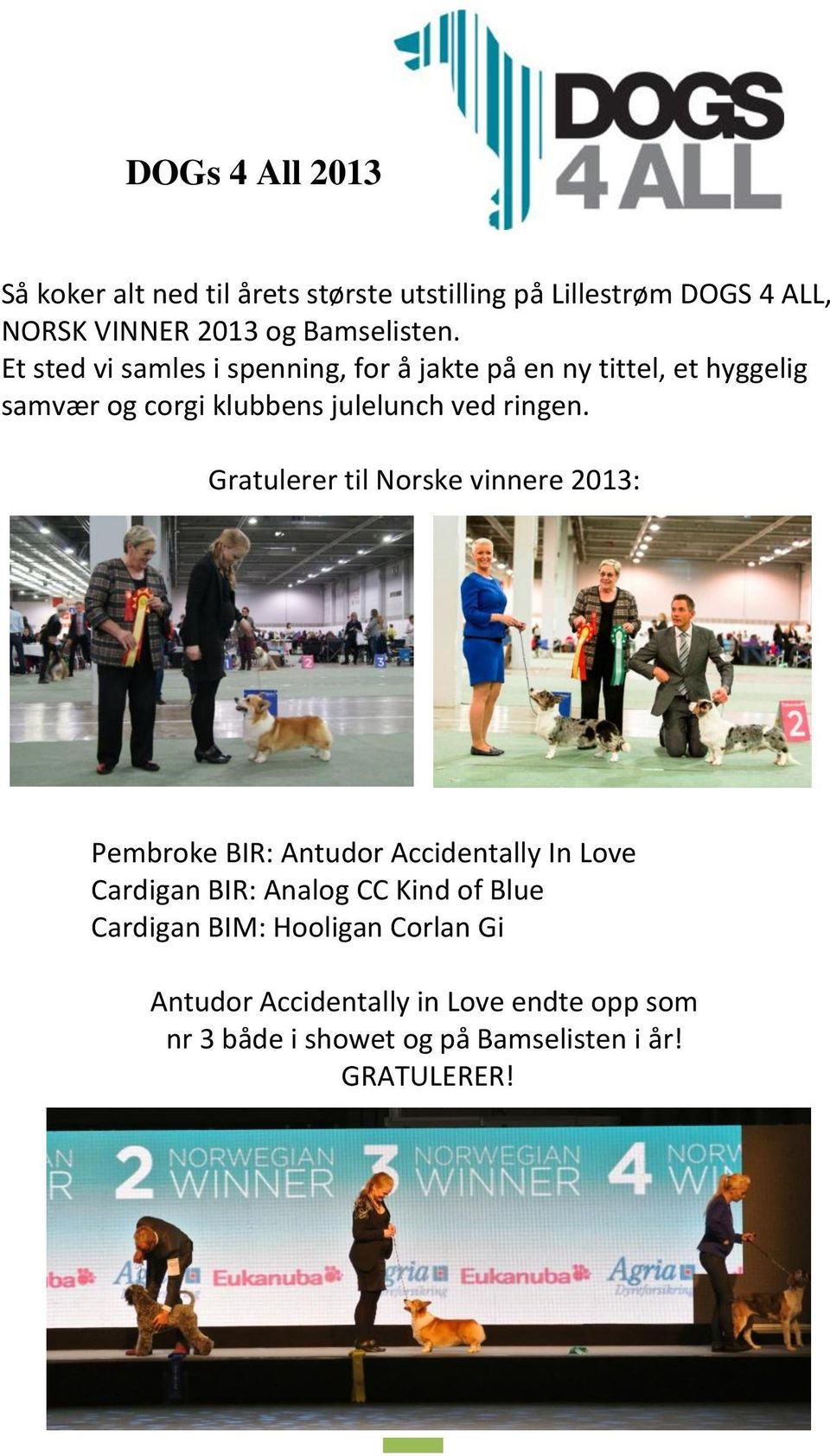 Gratulerer til Norske vinnere 2013: Pembroke BIR: Antudor Accidentally In Love Cardigan BIR: Analog CC Kind of Blue