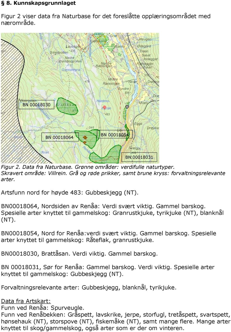 BN 00018031 BN00018064, Nordsiden av Renåa: Verdi svært viktig. Gammel barskog. Spesielle arter knyttet til gammelskog: Granrustkjuke, tyrikjuke (NT), blanknål (NT).