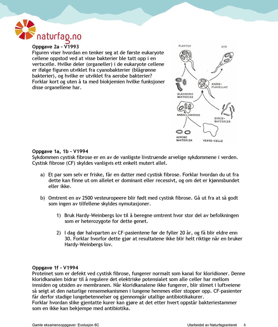 Forklar kort og uten å ta med biokjemien hvilke funksjoner disse organellene har. Oppgave 1a, 1b V1994 Sykdommen cystisk fibrose er en av de vanligste livstruende arvelige sykdommene i verden.