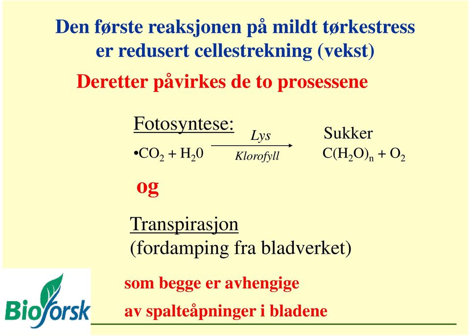 Fotosyntese: Sukker Lys CO 2 + H 2 0 Klorofyll C(H 2 O) n + O 2 og