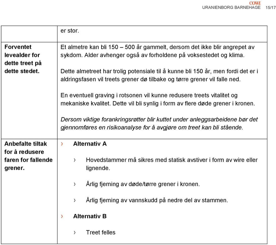 Dette almetreet har trolig potensiale til å kunne bli 150 år, men fordi det er i aldringsfasen vil treets grener dø tilbake og tørre grener vil falle ned.