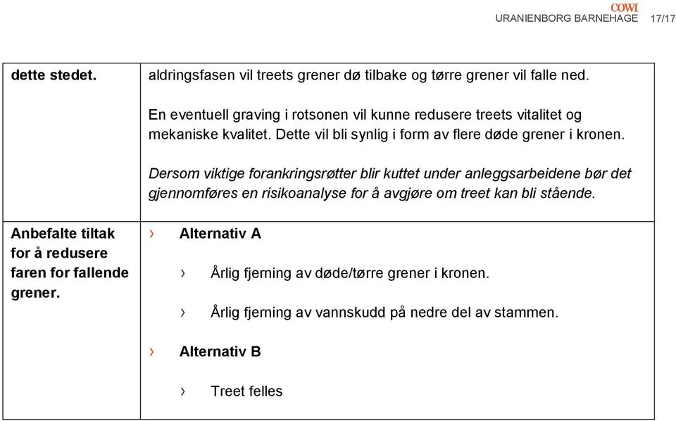 Dersom viktige forankringsrøtter blir kuttet under anleggsarbeidene bør det gjennomføres en risikoanalyse for å avgjøre om treet kan bli stående.