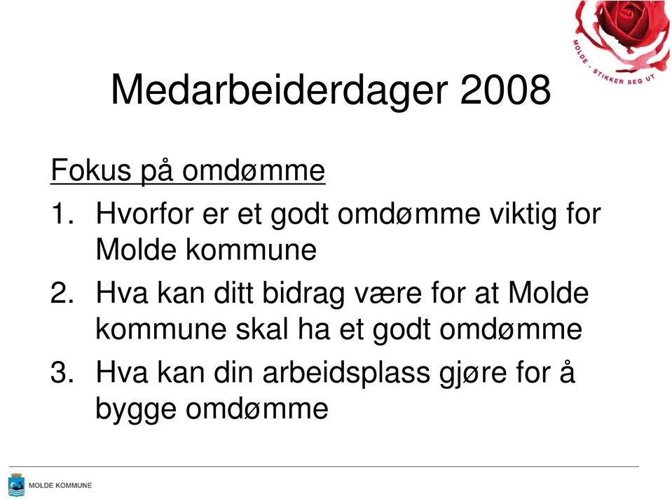 Hva kan ditt bidrag være for at Molde kommune skal ha