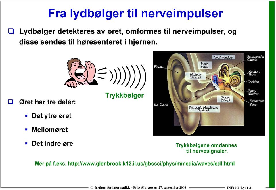 Øret har tre deler: Det ytre øret Mellomøret Trykkbølger Det indre øre Trykkbølgene