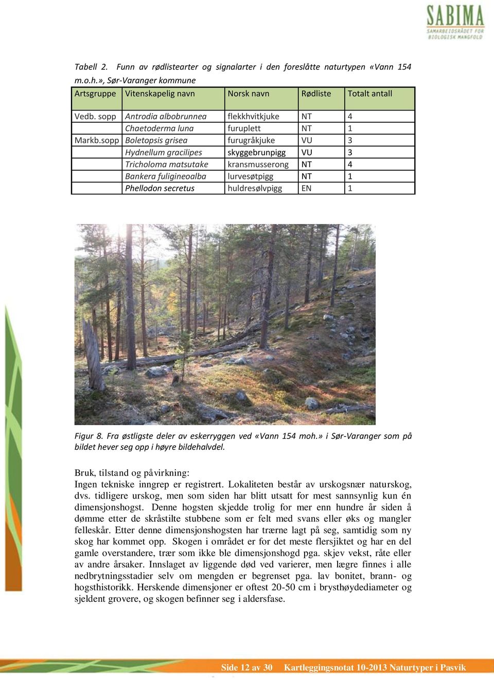 sopp Boletopsis grisea furugråkjuke VU 3 Hydnellum gracilipes skyggebrunpigg VU 3 Tricholoma matsutake kransmusserong NT 4 Bankera fuligineoalba lurvesøtpigg NT 1 Phellodon secretus huldresølvpigg EN