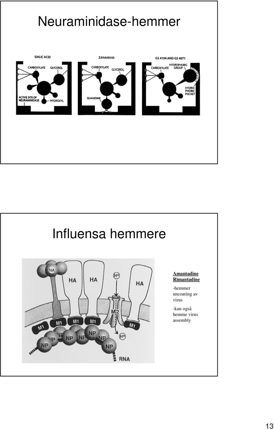 -hemmer uncoating av virus