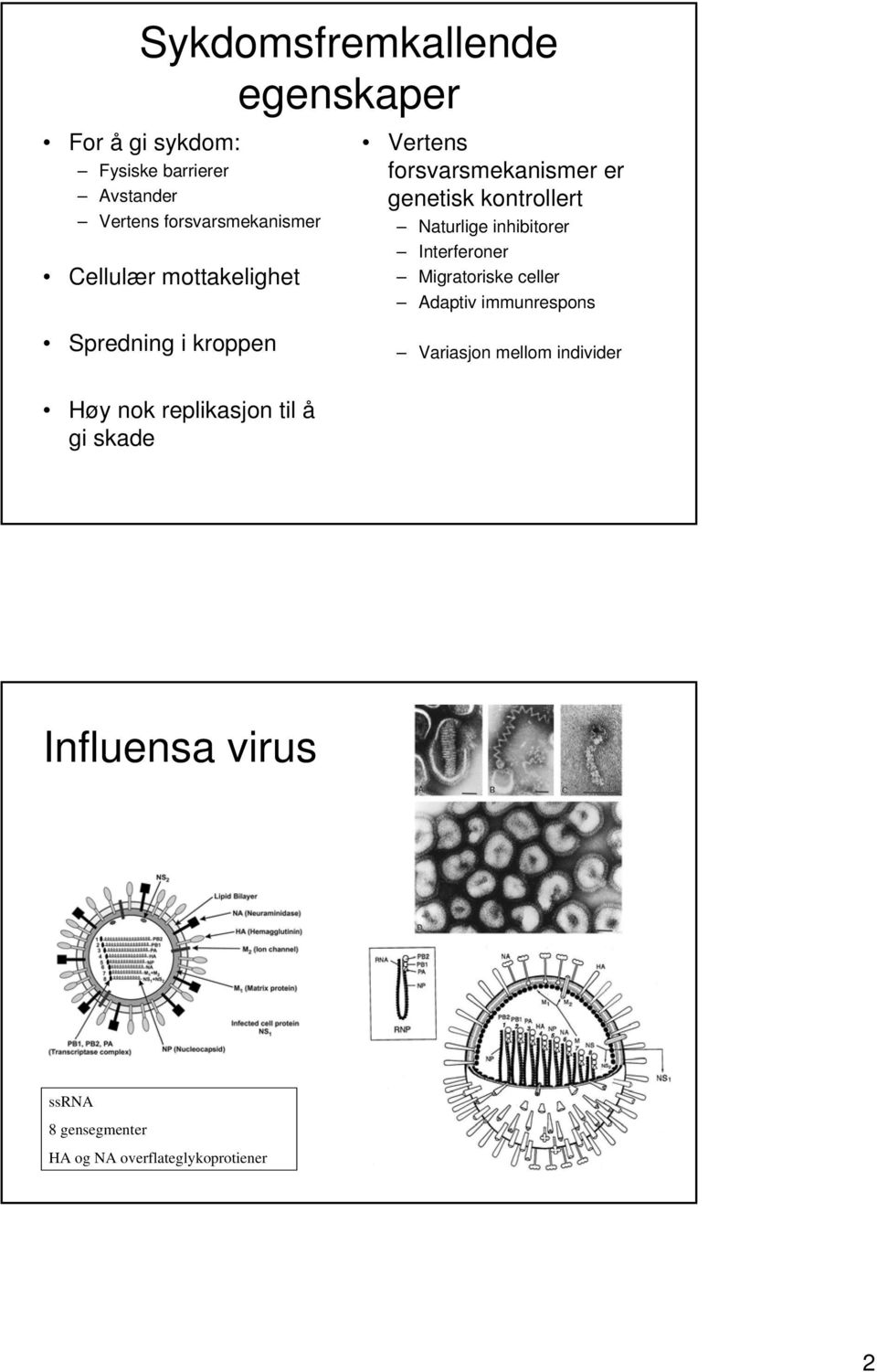 kontrollert Naturlige inhibitorer Interferoner Migratoriske celler Adaptiv immunrespons Variasjon