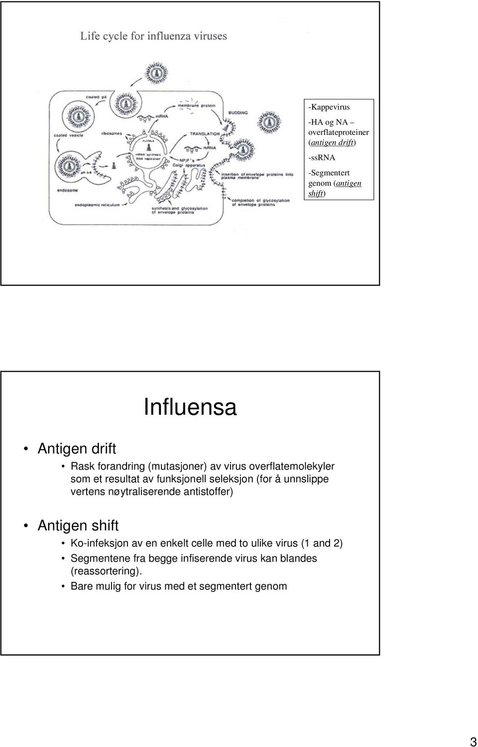 unnslippe vertens nøytraliserende antistoffer) Antigen shift Ko-infeksjon av en enkelt celle med to ulike virus (1