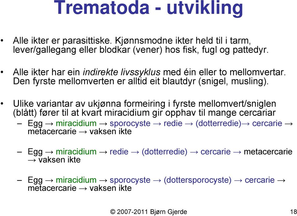 Ulike variantar av ukjønna formeiring i fyrste mellomvert/sniglen (blått) fører til at kvart miracidium gir opphav til mange cercariar Egg miracidium sporocyste redie