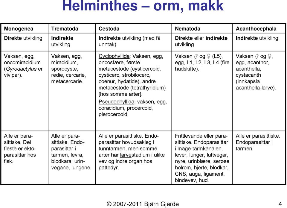 Cyclophyllida: Vaksen, egg, oncosfære, første metacestode (cysticercoid, cysticerc, strobilocerc, coenur, hydatide), andre metacestode (tetrathyridium) [hos somme arter].