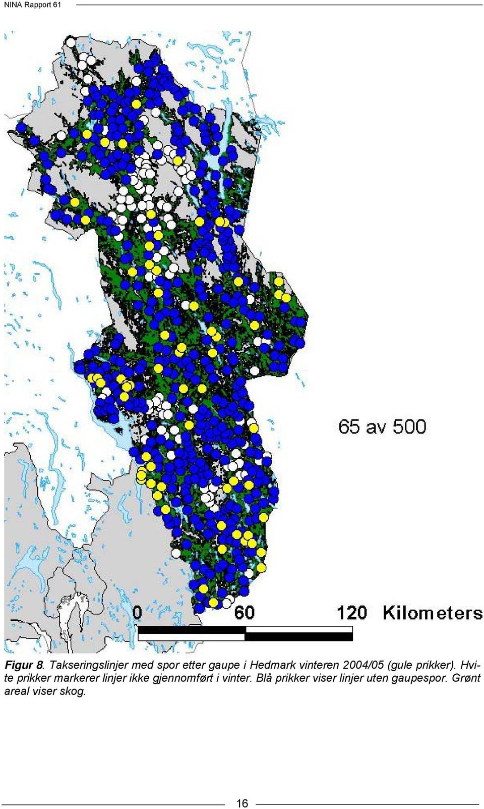 vinteren 2004/05 (gule prikker).