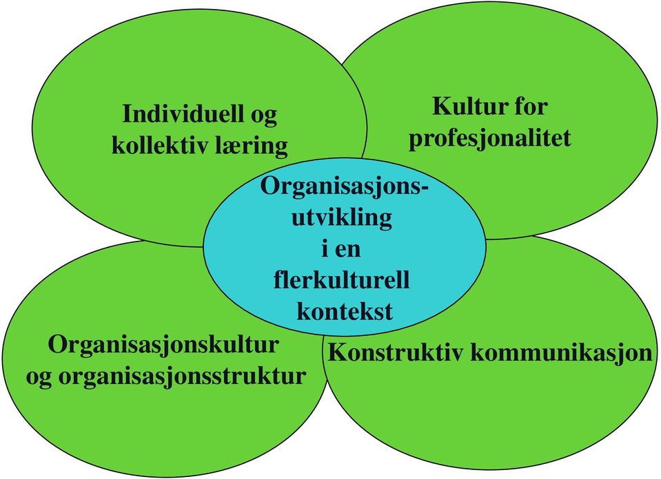 Organisasjonsutvikling i en flerkulturell