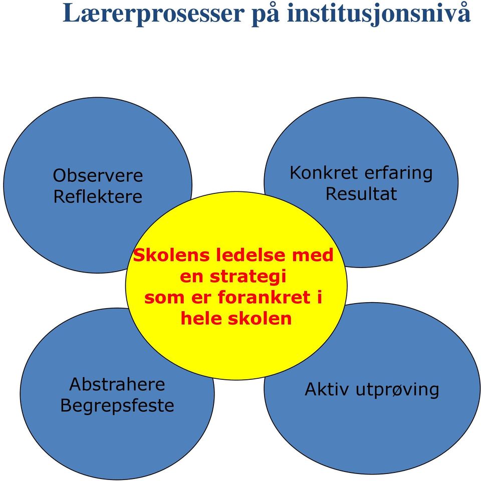 ledelse med en strategi som er forankret i