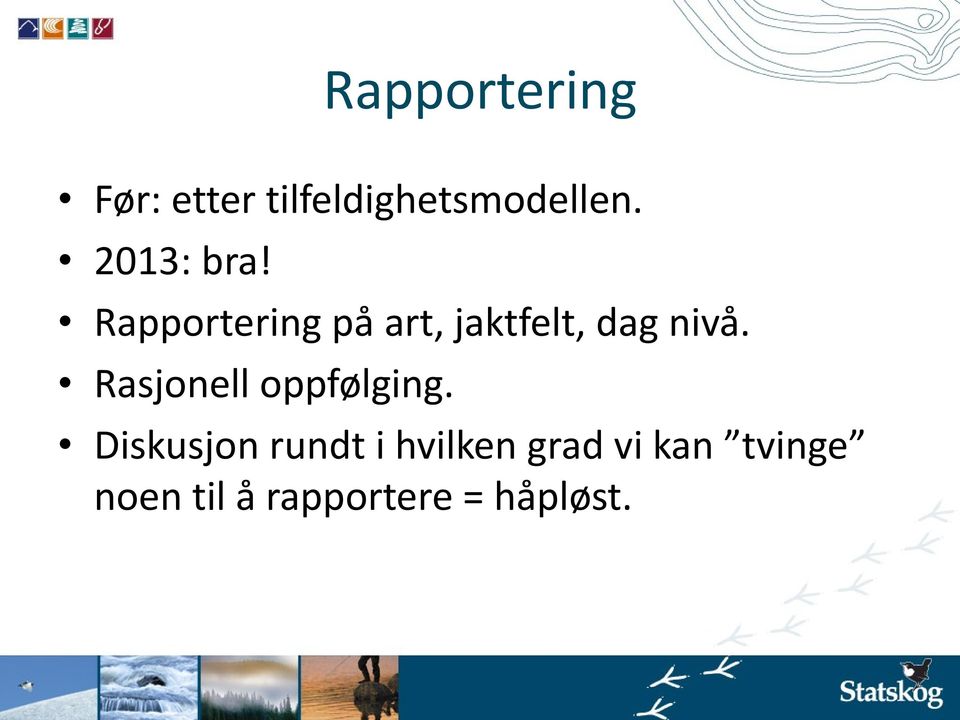 Rapportering på art, jaktfelt, dag nivå.