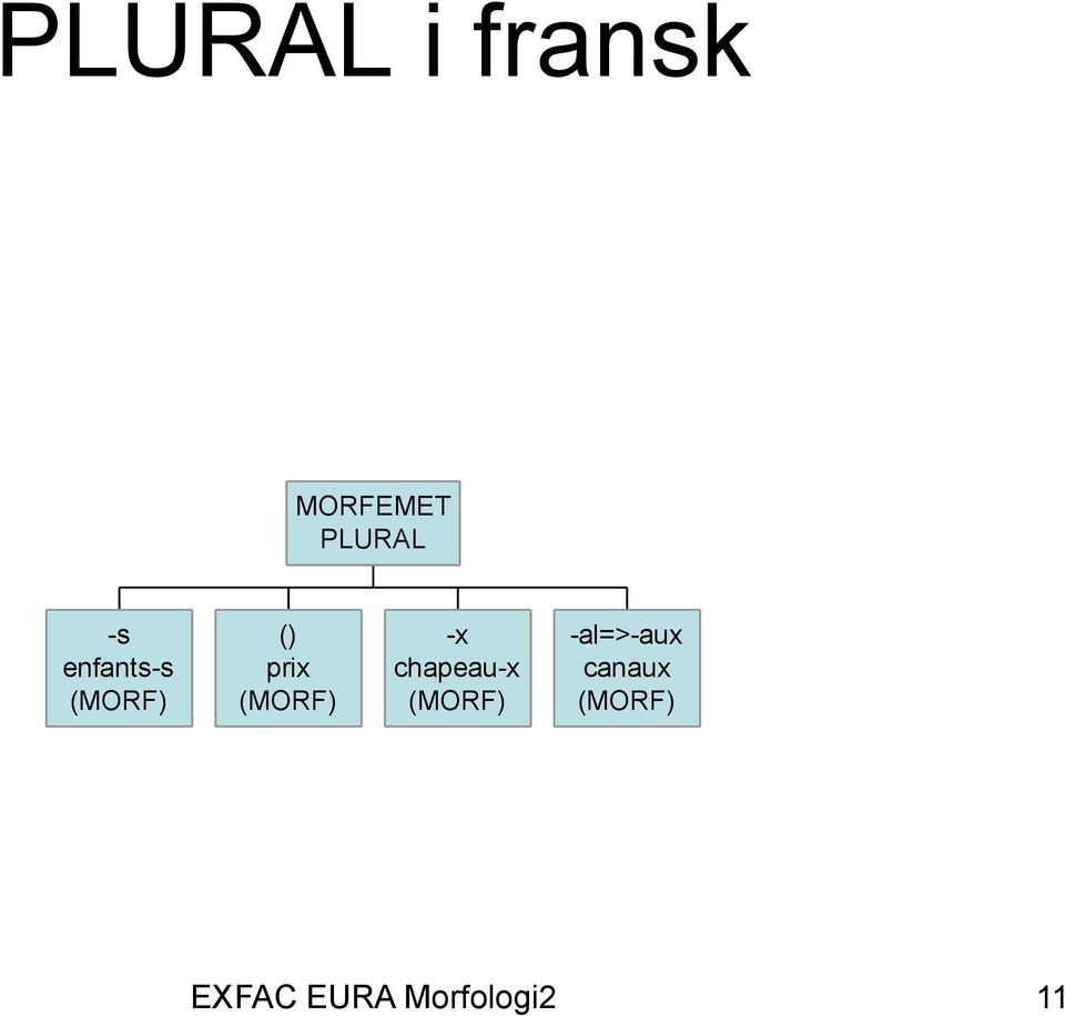 (MORF) -x chapeau-x (MORF)